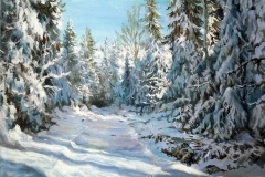 344500_winterwald